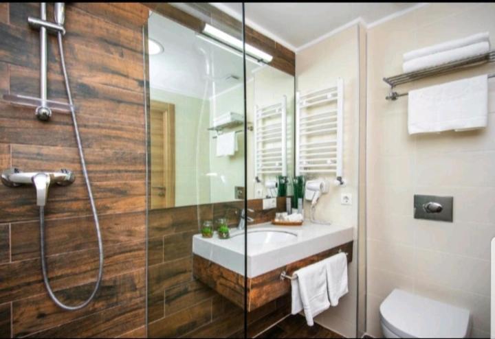 Orbi Palace Delux Bakuriani Room 470 Luaran gambar